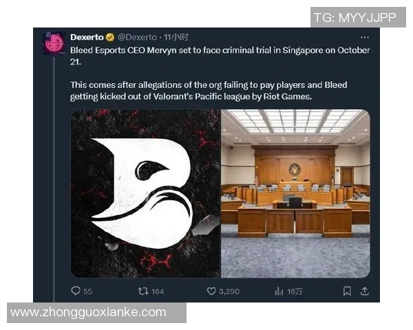 esports数据深入探讨杨磊的成功秘诀揭秘CSGO背后的辉煌历程与策略分析